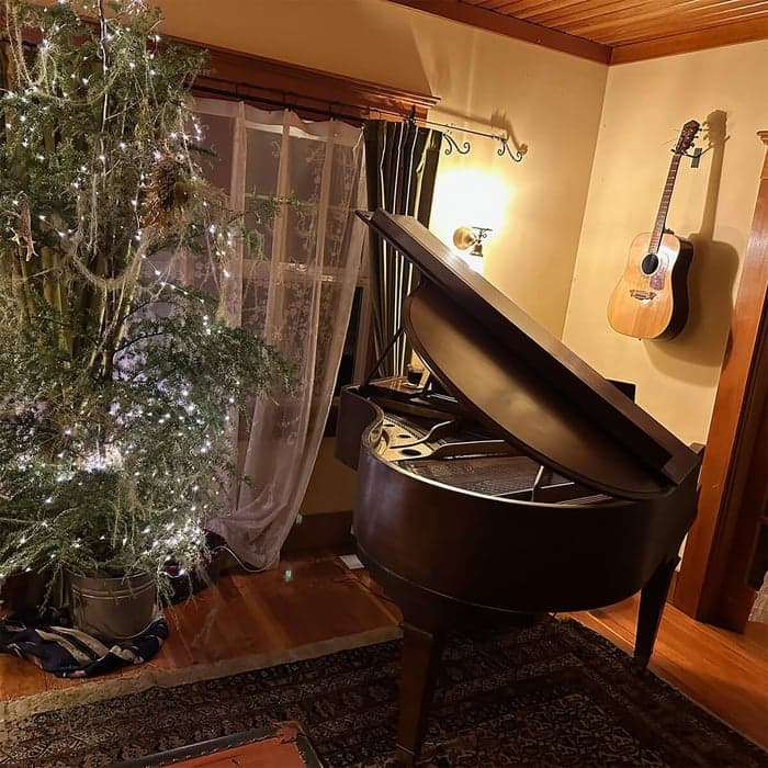 Christmas Trees, Snow Flurries and Mulled Wine