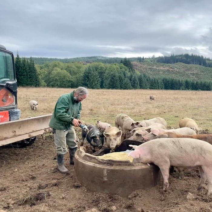 Obnoxiously Free Range