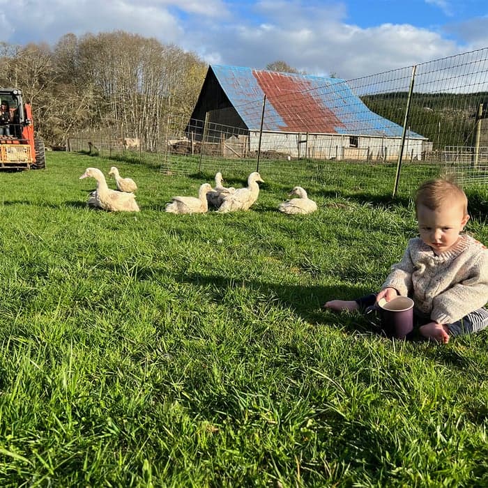 Spring Babies on Pasture