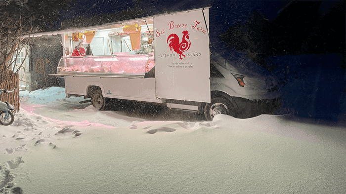 Waldo's Stuck in the Snow!